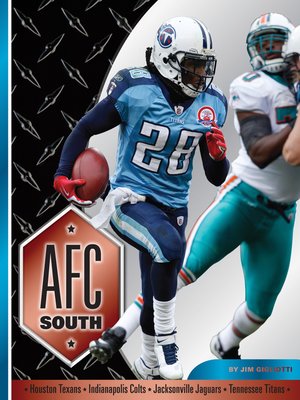 cover image of AFC South